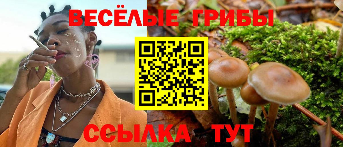 Псилоцибиновые грибы Cubensis Нижний Новгород